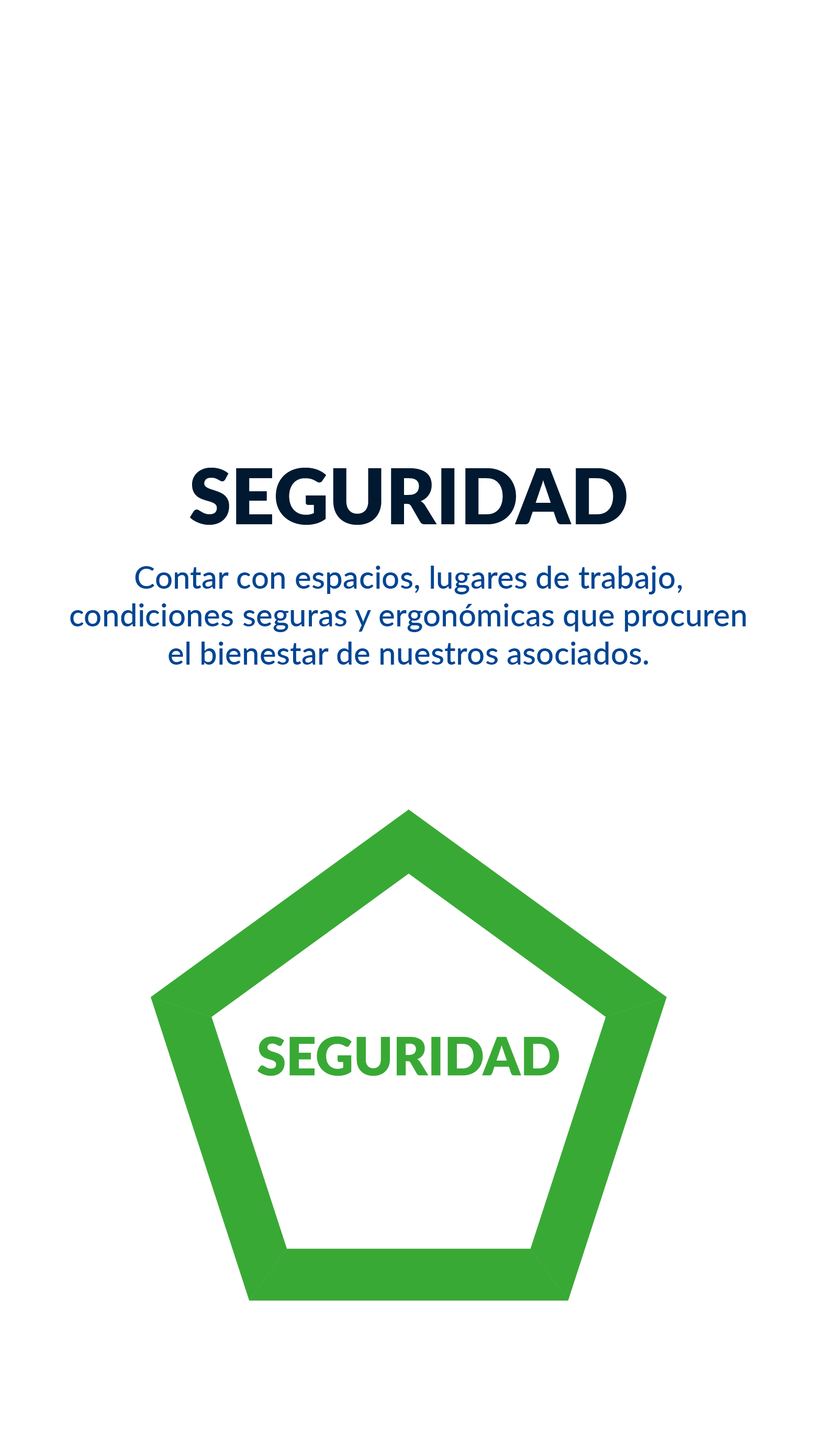 SEGURIDAD